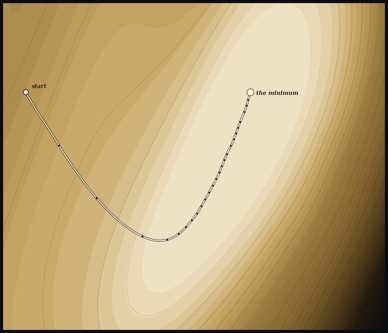 The loss basin seen from above, with the optimizer's real 131-step path descending into the valley.